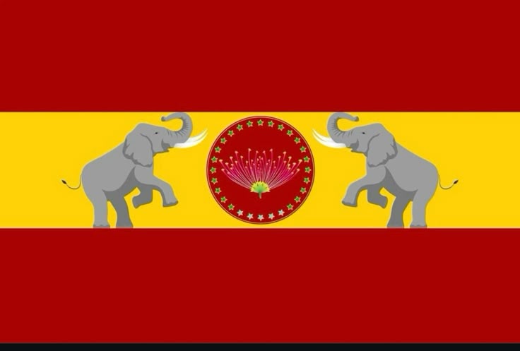 Tvk flag